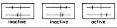 Active Inactive RLL