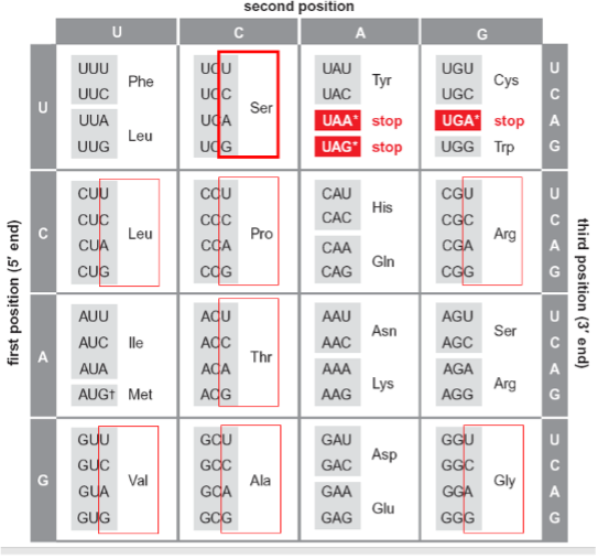Crick Codon Degeneracy